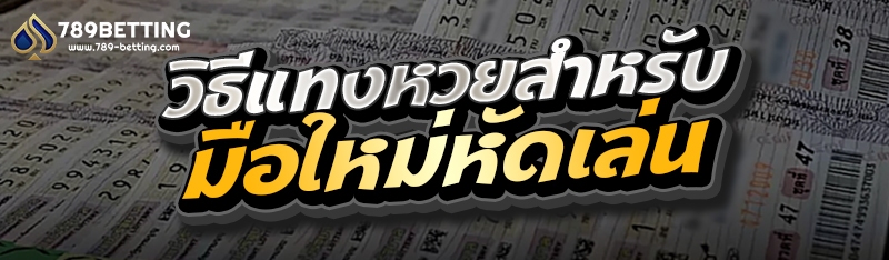 วิธีแทงหวยสำหรับมือใหม่หัดเล่น